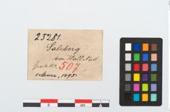 Etikett zu Eisenmesser (NHMW-PRAE-025281)